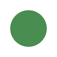 Pigmento líquido Verde Bandera